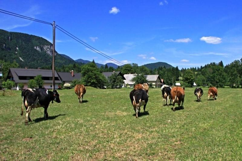 Farmhouse Soklic Бохинь Экстерьер фото